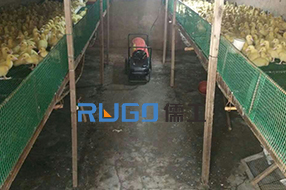 冬季，家畜養(yǎng)殖取暖使用儒工燃油暖風機